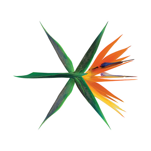전야 (前夜) - EXO (엑소)