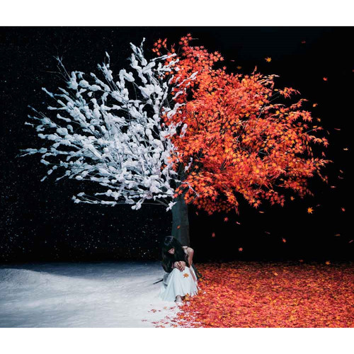 カタオモイ (单恋) (5th Anniversary Live ver.) - Aimer (エメ)