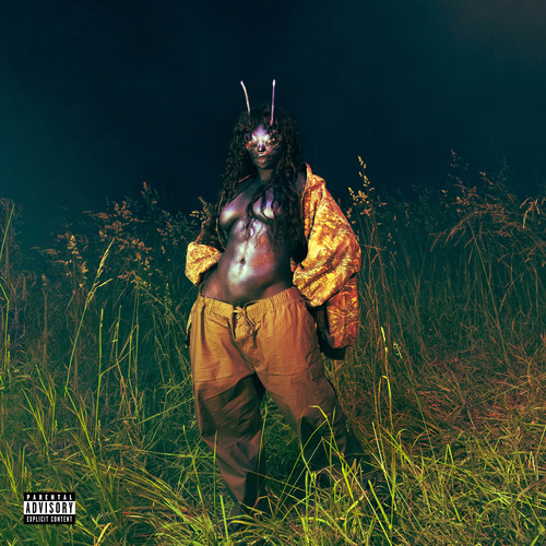 Far (Explicit) - SZA